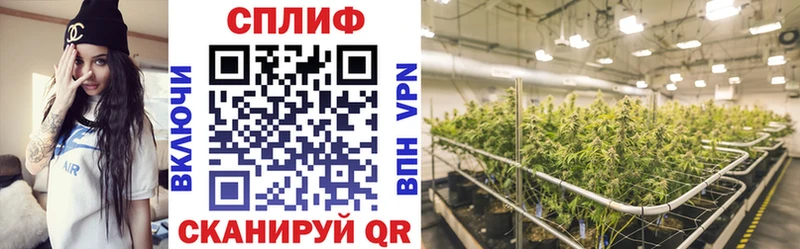дарнет шоп Кочубеевское Марихуана тримм